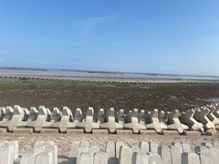 -南汇嘴观海公园