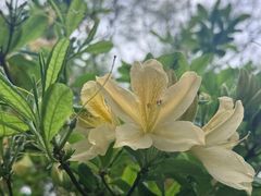 -沈阳植物园