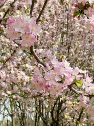 -大望京儿童游乐场