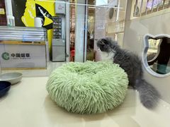 -万达广场(南宁青秀店)