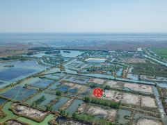 -泗洪洪泽湖湿地景区