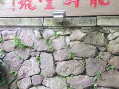 -龙井壹号·茶缘山景宴(龙井村店)