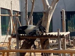 -沈阳森林动物园