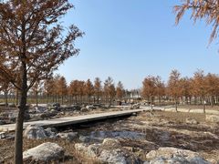 -春花秋色城市公园