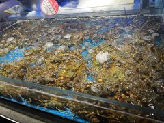 -徐记海鲜(大雁塔|金都店)