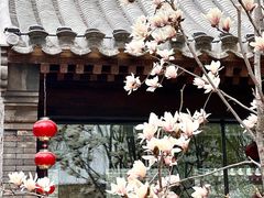 -三里河公园