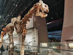 -武汉园博园(武汉自然博物馆)