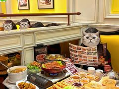 -城南往事·鲁菜·烤鸭(世茂宽厚里·大明湖店)