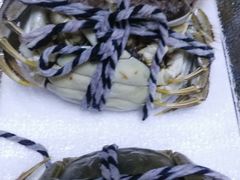 -乡乐园蟹庄·阳澄湖农家乐