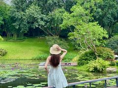 -云溪植物园
