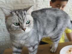-平行世界·猫咖(首经贸店)