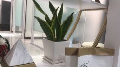 -久匠·野生眉半永久纹眉