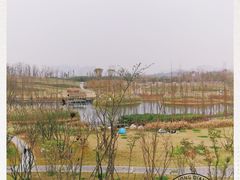 -白鹭湾湿地公园