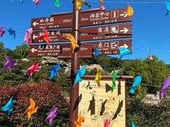 -北京西山国家森林公园