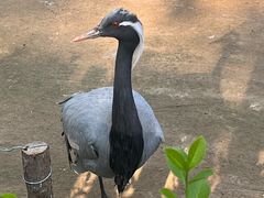 -秦皇岛野生动物园