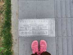 -北陵公园