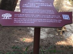 -北海金海湾红树林生态旅游区