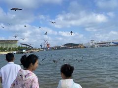 -海驴岛(荣成市)