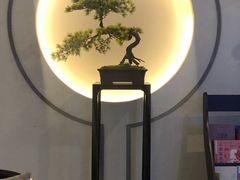 -席仁堂推拿按摩脊柱调理(世纪科贸大厦店)