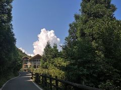 -武陵山森林公园