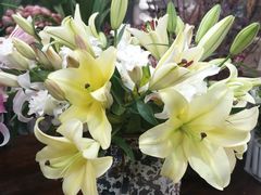 -泉乐坊步行街(烟酒特产平价超市店)