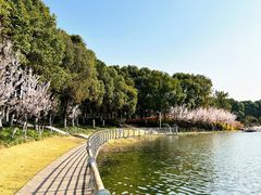 -美兰湖景区