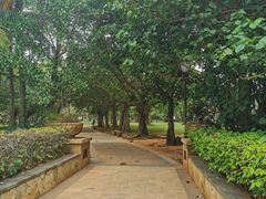 -白沙门生态公园