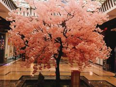-添赐温泉馆(上南路店)