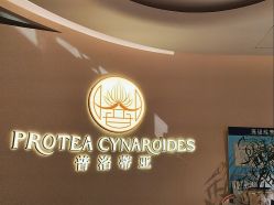 -普洛蒂亚·科技美肤中心