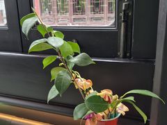 -豫园湖心亭茶楼