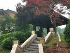 -余姚阳明温泉山庄