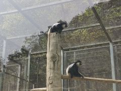-黔灵山公园