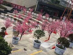 -易生活购物公园