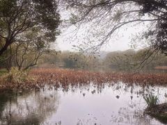 -茅家埠