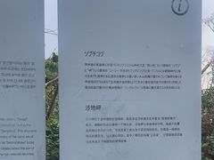 -涉地可支