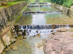 -广州白江湖森林公园