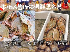-青岛沙子口国家中心渔港
