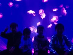 -芜湖新华联大白鲸海洋公园