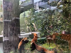 -国家自然博物馆