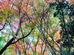 -花溪公园