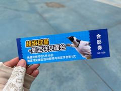 -海合安成都极地海洋公园