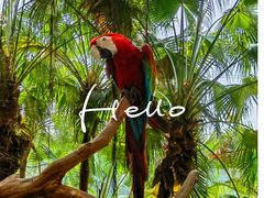 -广州长隆野生动物世界