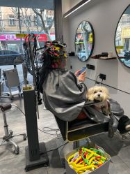 -卓梵美发·精品Salon