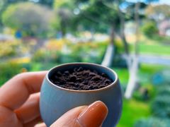 -浙江西子宾馆·瑶园咖啡厅