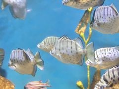 -常州海昌海洋探索馆