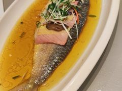 清蒸鲥鱼-红城阁·上海味道(四平路店)
