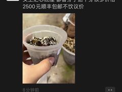 -Jing Bar 井酒吧