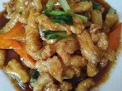 红烧鸡块-王鹏家常菜馆