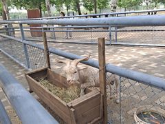 -长白岛森林公园