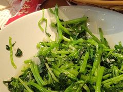 -鸽子窝(宋庄店)